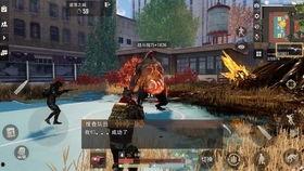 代号真实最新爆料,揭秘最新爆料背后的惊人真相  第3张