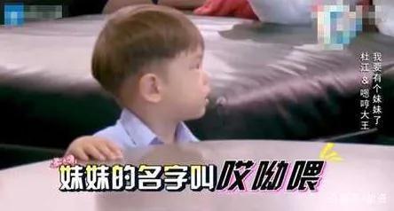 嗯哼爆料挨打视频大全下载,揭秘网络暴力背后的真相  第2张