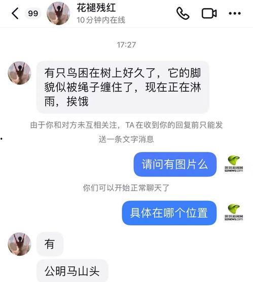 陈女士爆料最新新闻消息,最新新闻事件深度解析  第3张