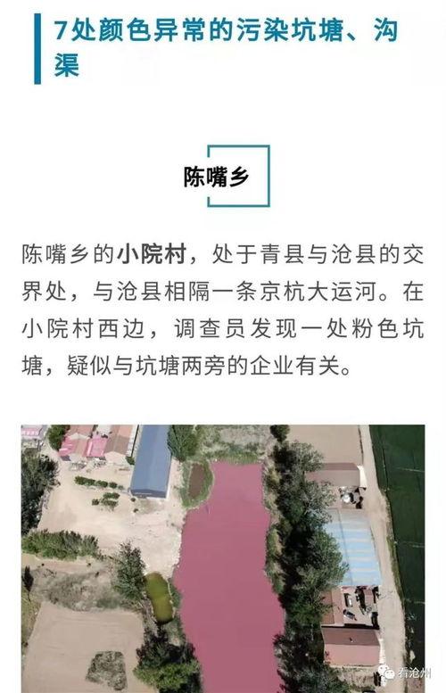 天津爆料人现状最新视频,最新视频揭示真实困境 第3张 天津爆料人现状最新视频,最新视频揭示真实困境 第3张